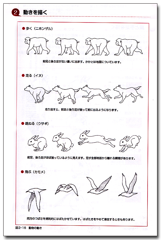 Tracing Is Easy! Practice Notes for Plants and Animal Reference Book
