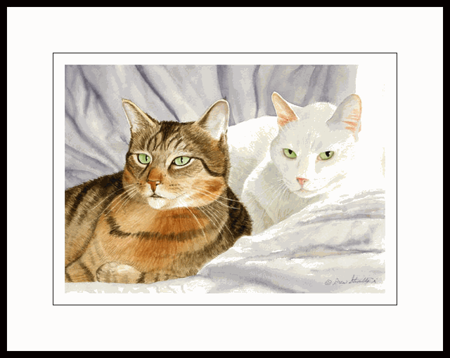 Cat Paintings Drawings For Sale Watercolor Portrait For Sale FL