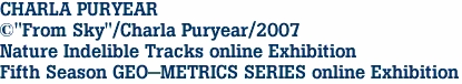 CHARLA PURYEAR
&#169;"From Sky"/Charla Puryear/2007
Nature Indelible Tracks online Exhibition
Fifth Season GEO-METRICS SERIES online Exhibition