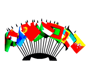 Miniature World Flag Assortment #11/20 Flags Representing South Central Asia