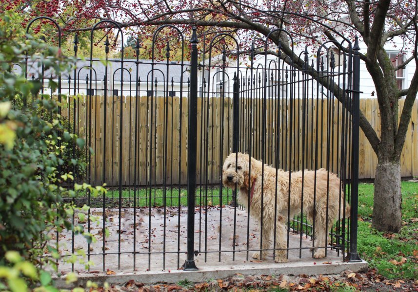 5't Wrought Iron 3 Sided Dog Kennel Pen Enclosure Package