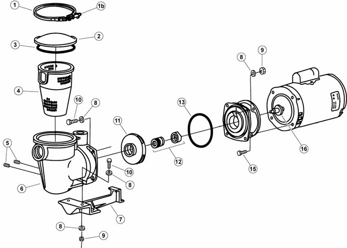 Pentair Purex Quietflo/Aquatron Pumps