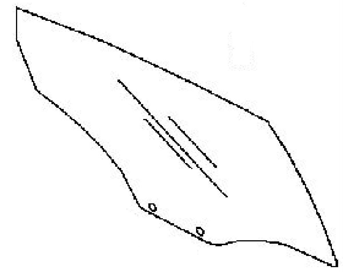 Rear Door Glass Passenger Side Hyundai Accent 4 Door Hatchback 20122015