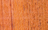 Brazilian Cherry