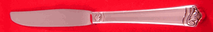 Bright Future Dinner Knife (9 1/2")  Moderate Use