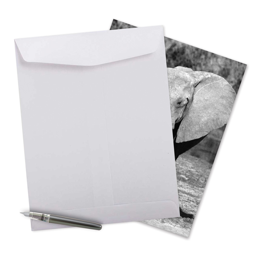 Trunks Of Love Mother's Day Funny Paper Greeting Card