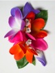 Plumeria hair clip #18 Purple /orange Plumeria hair clip #18 Purple /orange