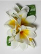 Plumeria hair clip <br>#40 White/yellow Plumeria hair clip <br>#40 White/yellow