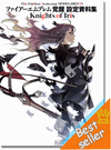 Fire Emblem Awakening Model Sheets Art Book - Knights of Iris Fire Emblem Awakening Model Sheets Art Book - Knights of Iris