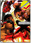 Street Fighter X Tekken Art Works Art Book Street Fighter X Tekken Art Works Art Book