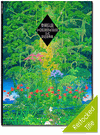 Legend of Mana 4 & Children of Mana Official Design Material Collection Legend of Mana 4 & Children of Mana Official Design Material Collection
