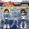 Street Fighter: Pinky Street 2-Pack Action Figures Street Fighter: Pinky Street 2-Pack Action Figures