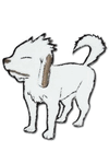 Patch: Naruto - Akamaru Patch: Naruto - Akamaru