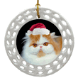 Porcelain Disc Ornament - Persian Cat Porcelain Disc Ornament - Persian Cat