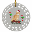 Porcelain Disc Ornament - Tabby Cat Porcelain Disc Ornament - Tabby Cat