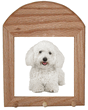 Oak Leash Holder - Bichon Oak Leash Holder - Bichon