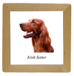 Wood Trivet - Irish Setter Wood Trivet - Irish Setter