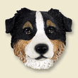 Doogie Head - Australian Shepherd Doogie Head - Australian Shepherd