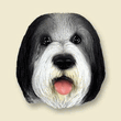 Doogie Head - Bearded Collie Doogie Head - Bearded Collie
