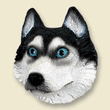 Doogie Head - Siberian Husky Doogie Head - Siberian Husky