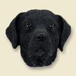 Doogie Head - Black Labrador Retriever Doogie Head - Black Labrador Retriever