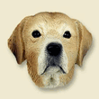 Doogie Head - Yellow Labrador Retriever Doogie Head - Yellow Labrador Retriever