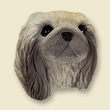 Doogie Head - Pekingnese Doogie Head - Pekingnese