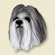 Doogie Head - Gray Shih Tzu Doogie Head - Gray Shih Tzu