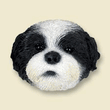 Doogie Head - Black & White Shih Tzu with Puppy Cut Doogie Head - Black & White Shih Tzu with Puppy Cut