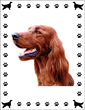 Note Cards - Irish Setter Note Cards - Irish Setter
