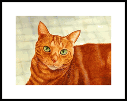Nicholas Framed Limited Edition Nicholas Framed Limited Edition