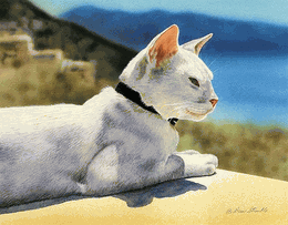 Nice View Matted Open Edition Mini Print Drew Strouble White Cat Art