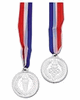 SILVER AWARD MEDAL SILVER AWARD MEDAL