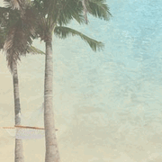 Tropical Haven, scrapbook paper (Paper House)