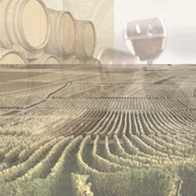 Wine Country Collage, scrapbook paper (Paper House)