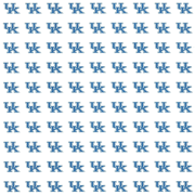 University of Kentucky (Wildcats), white background, scrapbook paper, 12" x 12" (Sports Solution)