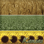Kansas, Travel, States, scrapbook paper (Stamping Station)