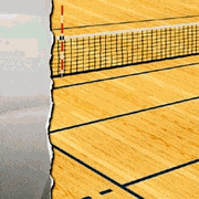 Volleyball strips, scrapbook paper (Scrappin' Sports & More)