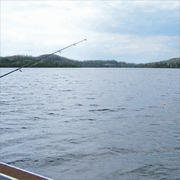 Fishing, Pole & Bobber, sports scrapbook paper (McRice Photo Papers)