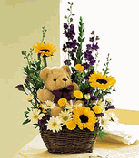 basket & bear arrangement basket & bear arrangement