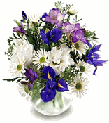 Baby boy bouquet - Dad's New Best Friend™ Bouquet Baby boy bouquet - Dad's New Best Friend™ Bouquet