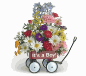 Baby's First Wagon (Boy) Baby's First Wagon (Boy)