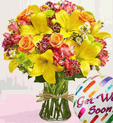 Fields of Europe Get Well Fields of Europe Get Well
