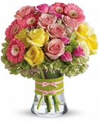 Fashionista Blooms Fashionista Blooms