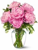 Peonies in Pink - Designs East Florist Dallas Peonies in Pink - Designs East Florist Dallas