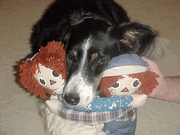 Members Corner: Charles & Cheryl Platt of Raggedy Land Members Corner: Charles & Cheryl Platt of Raggedy Land