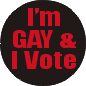 I'm Gay & I Vote Pinback Button I'm Gay & I Vote Pinback Button