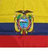 Ecuador Flag - Bandana - DOZEN - PRICED and PACKED.