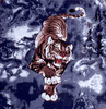 Color Tiger Bandanas - DOZEN PRICED and PACKED.