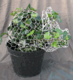 Chicken wire topiary Chicken wire topiary